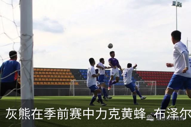灰熊在季前赛中力克黄蜂 布泽尔表现出色
